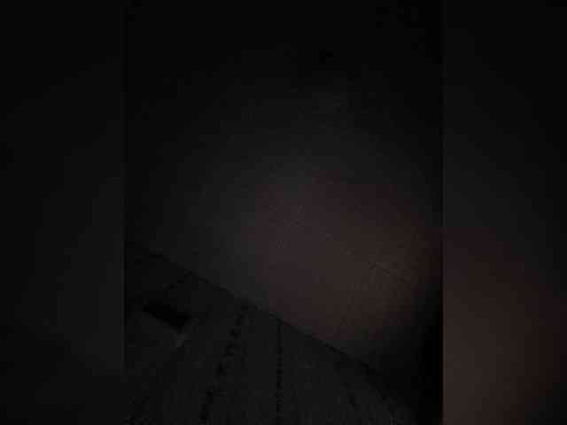 _Lisichka webcam