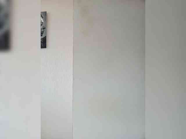 BonitaStar webcam
