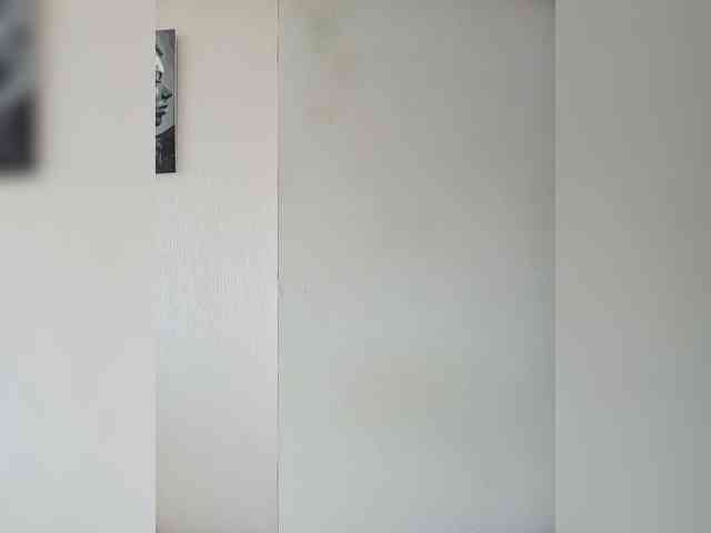 BonitaStar webcam