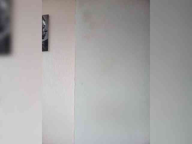 real live web cam BonitaStar