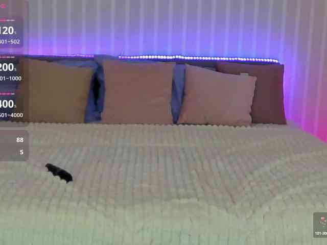 MilaSecret webcam