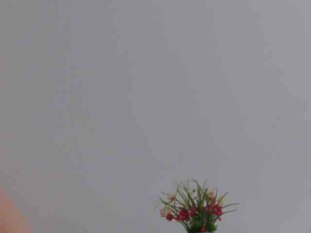 SophieeRain webcam