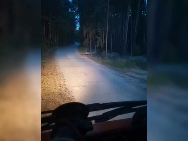 AlexxxAlexxxP