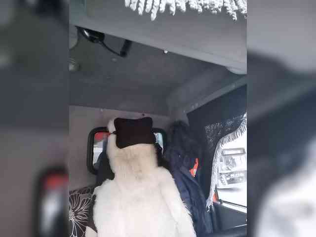 AlexxxAlexxxP AlexxxAlexxxP