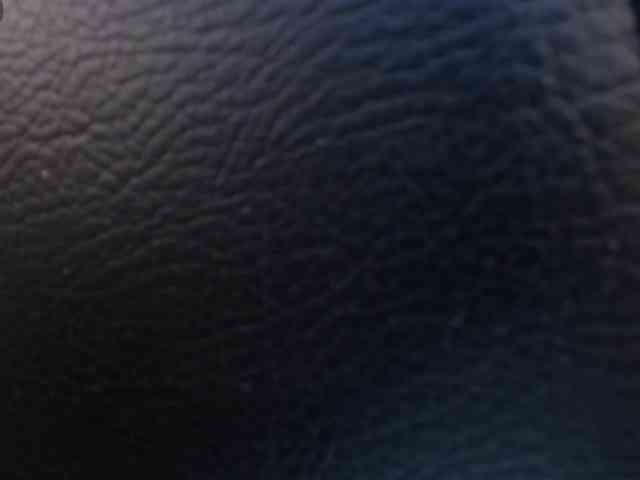 SavannahStorm webcam