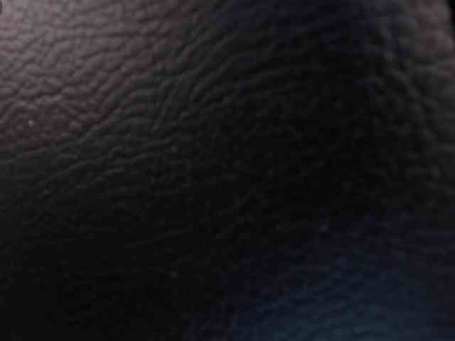 SavannahStorm webcam