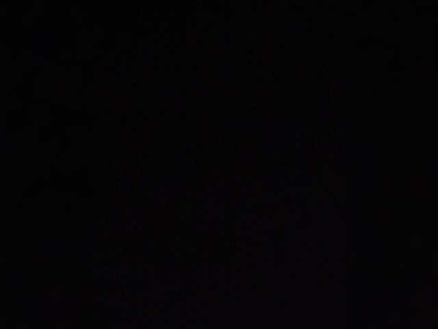 Oleg_lily