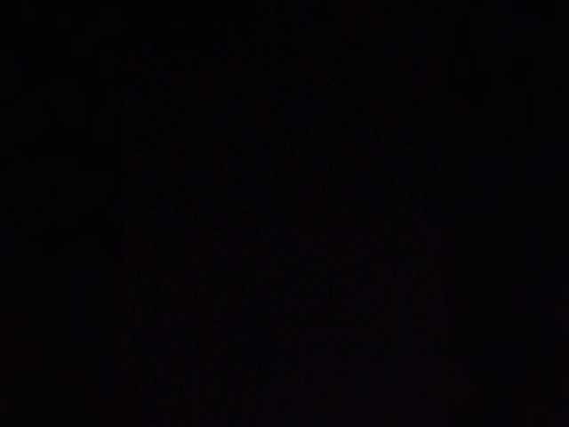 Oleg_lily