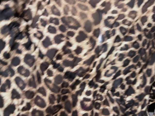 -Molly-'s BongaCams show and profile