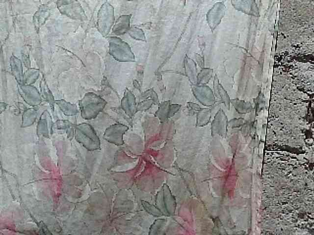 asianblossom asianblossom