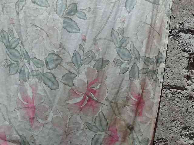 asianblossom webcam