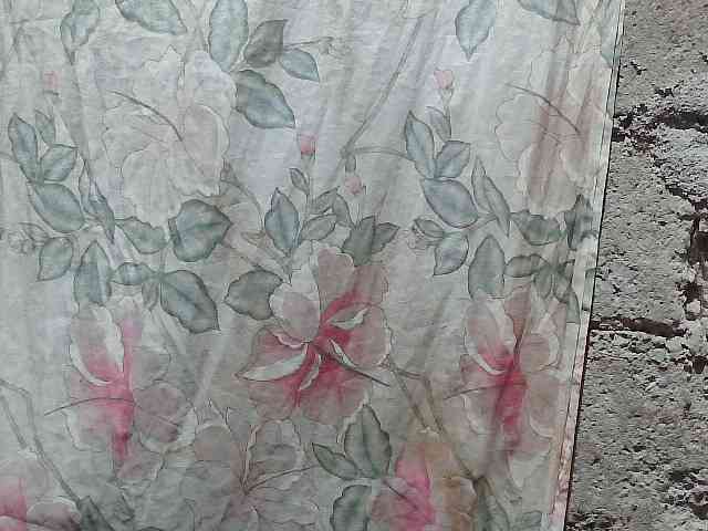 asianblossom webcam