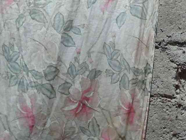 asianblossom webcam