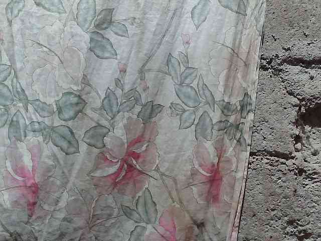 asianblossom webcam