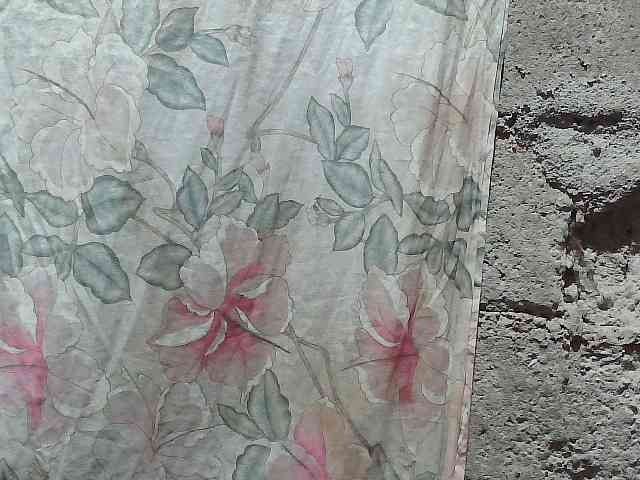 asianblossom webcam