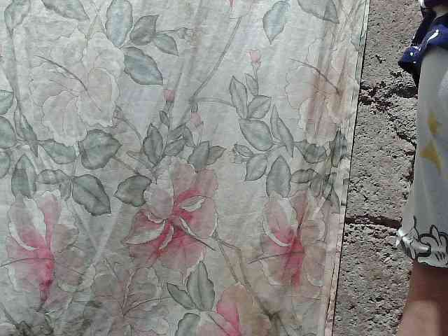 asianblossom webcam