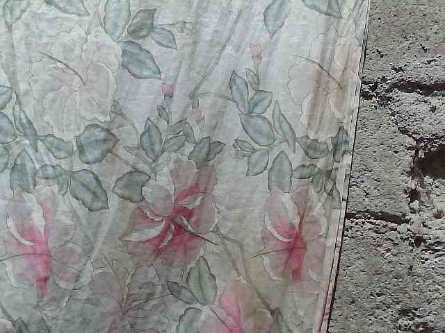 asianblossom webcam