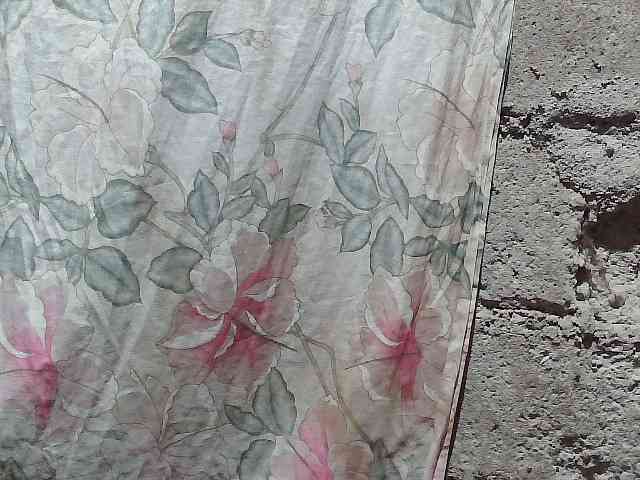asianblossom webcam