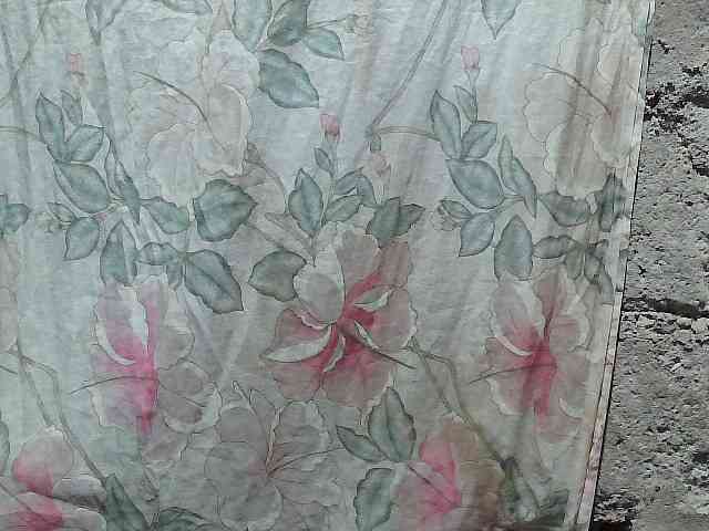 asianblossom webcam