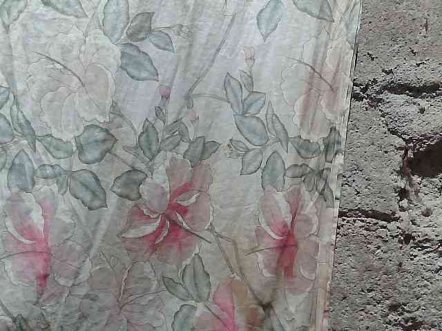 asianblossom webcam
