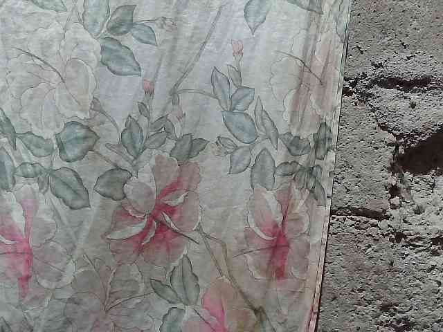 asianblossom webcam