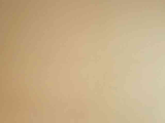 elfinvibes elfinvibes