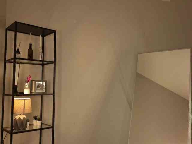 elfinvibes elfinvibes