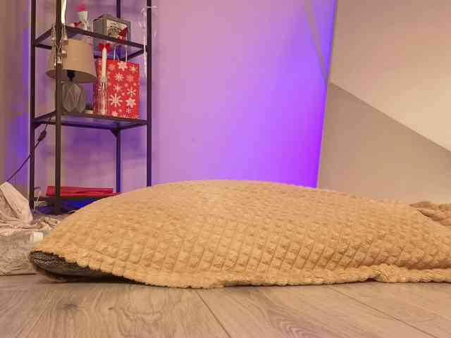 elfinvibes elfinvibes