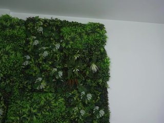 AmiraRoshen Porn Show