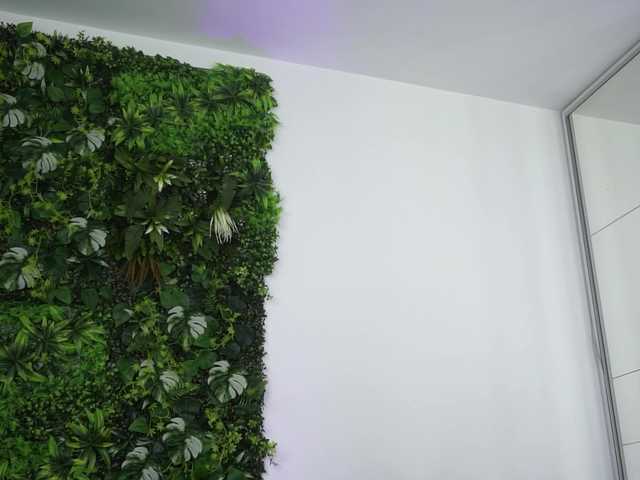 AmiraRoshen's BongaCams show and profile