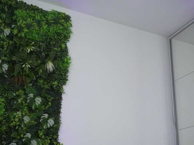 AmiraRoshen's BongaCams show and profile