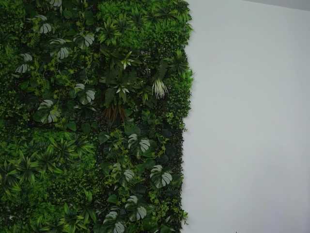 AmiraRoshen's BongaCams show and profile