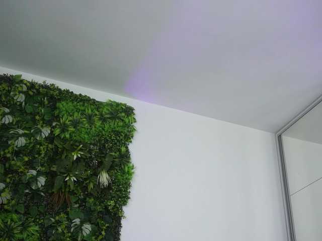 AmiraRoshen's BongaCams show and profile