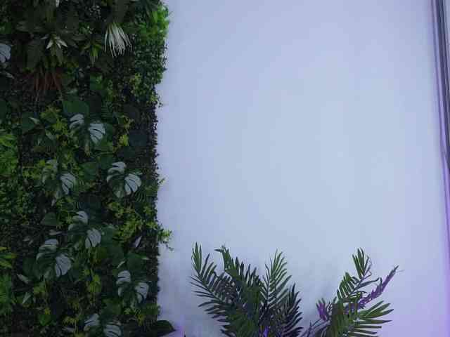 AmiraRoshen webcam