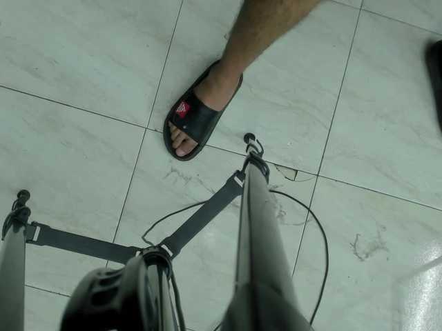 room-kitty's BongaCams show and profile