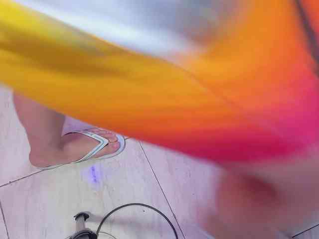room-kitty webcam