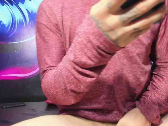 room-kitty room-kitty