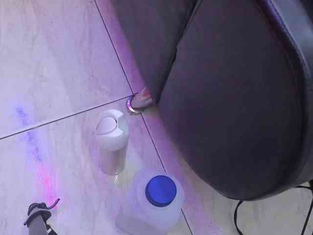 room-kitty webcam