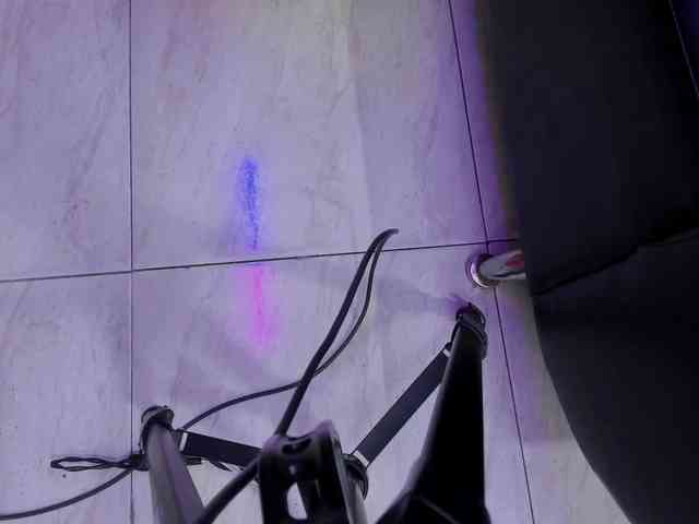 room-kitty webcam