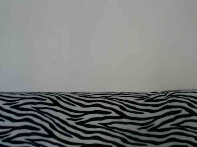 jessy-jessy webcam