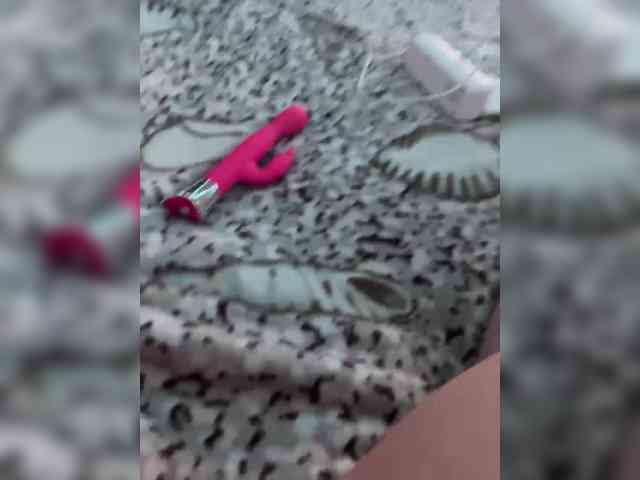 Kotandkiska webcam