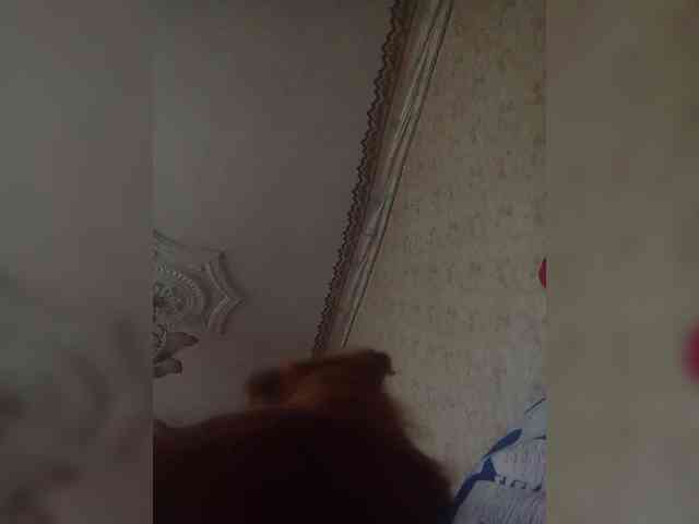 LynnYana webcam