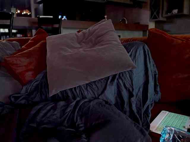 Iris-Nightingale webcam