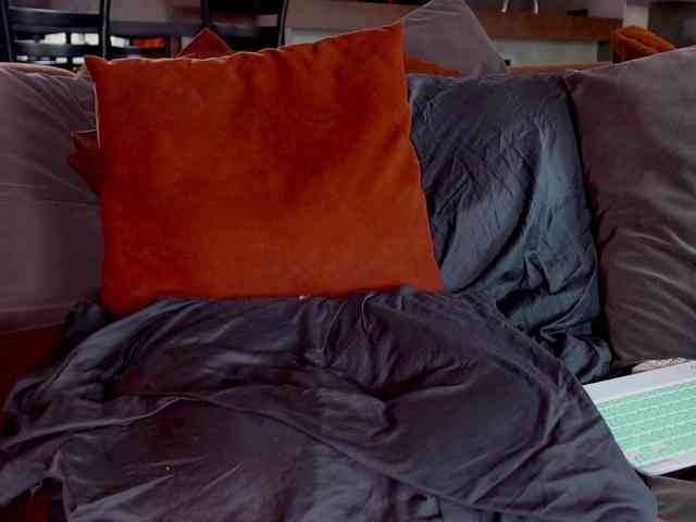 Iris-Nightingale webcam