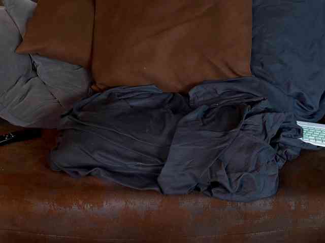 Iris-Nightingale webcam