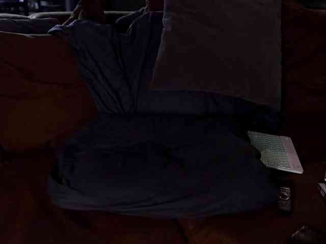 Iris-Nightingale webcam