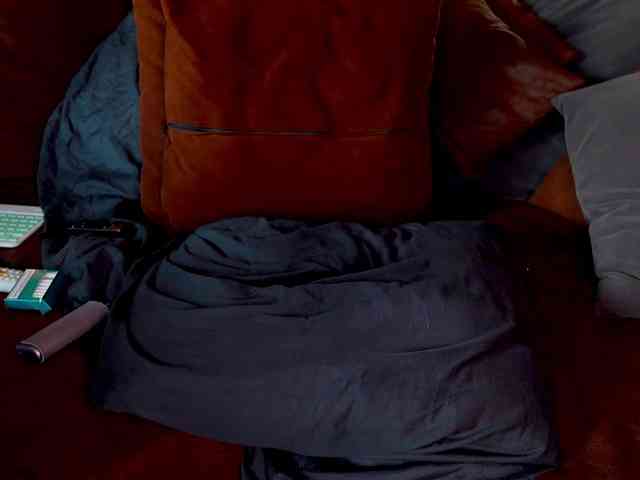 Iris-Nightingale webcam