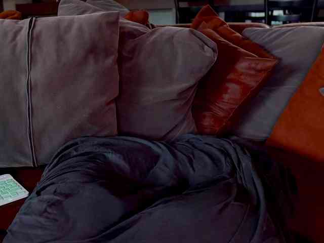 Iris-Nightingale webcam