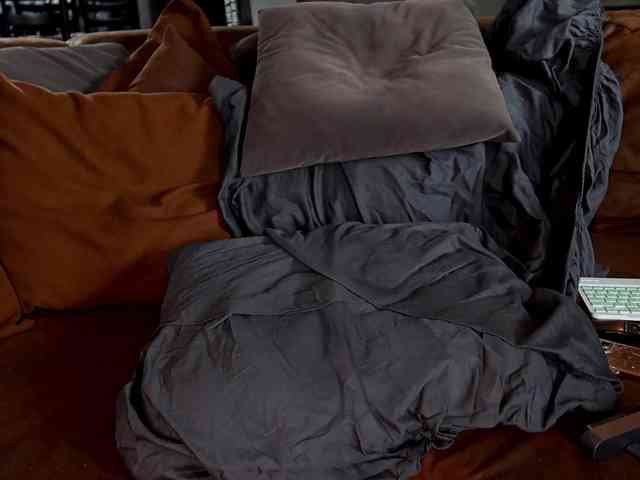 Iris-Nightingale webcam