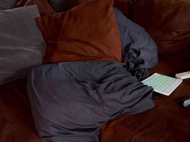 Iris-Nightingale webcam